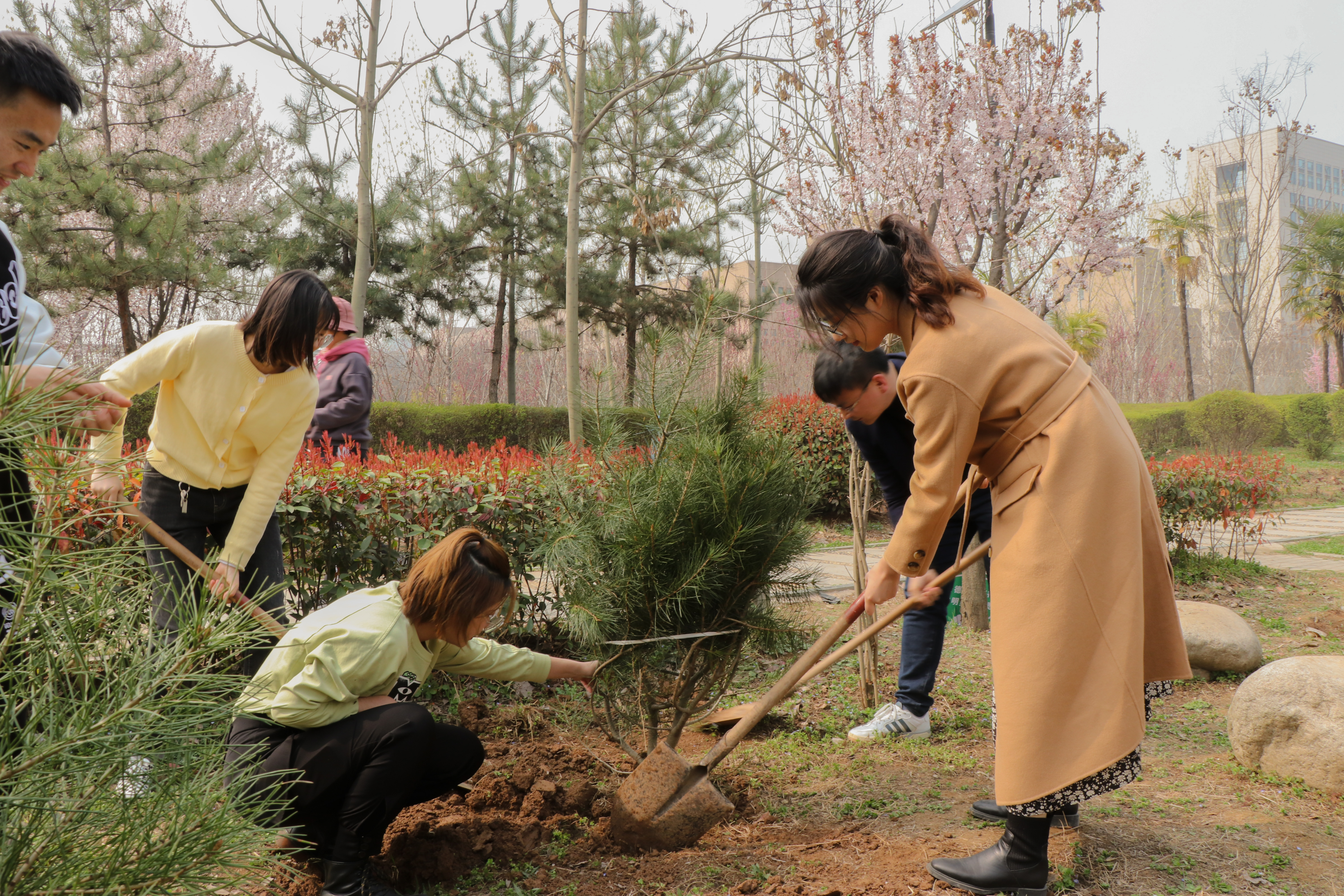我院团委举办加强劳动教育,共建绿色校园植树活动